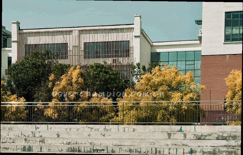 球场分区跑动强度热力图，从深蓝到荧光青表示强度递增